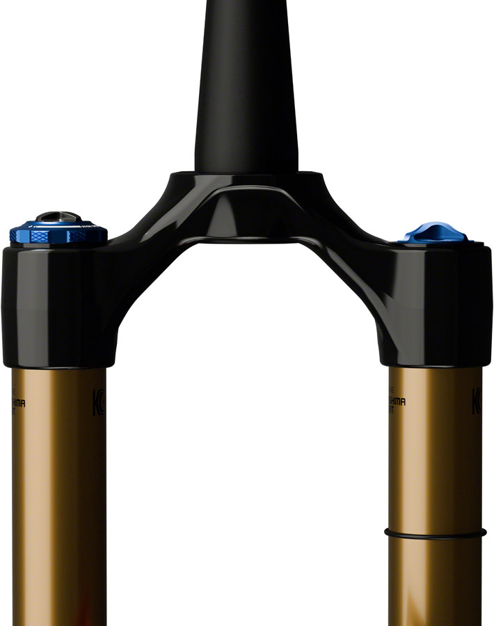 FOX 36 E-Optimized Factory Suspension Fork - 29", 160 mm, 15 x 110 mm, - Picture 4 of 5