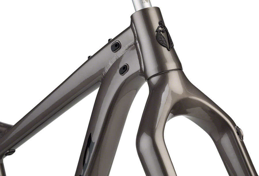 Salsa Blackborow Fat Bike Frame Aluminum, Small, Gunmetal