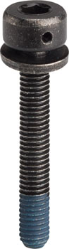 Shimano 31.8mm Disc Brake Caliper Fixing Bolt, for 74mm Caliper on Flat-Mount Frame Adaptor EA Disc Caliper Part