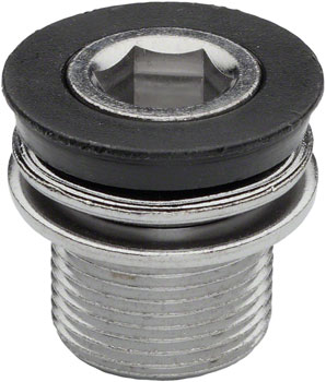 RaceFace M15 Bolt for 2008+ Evolve and Ride EA Crank Arm Fixing Bolt