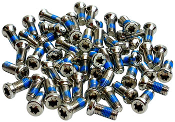 Wheels Manufacturing Direct Mount Gravel Chainring Bolts - One pack of 50 bolts, For 8-Bolt Chainring, M4, T20 SIlver EA Chainring Bolts