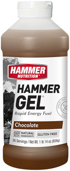 Hammer Nutrition Hammer Gel: Chocolate 20oz EA Gels
