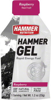 Hammer Nutrition Hammer Gel: Raspberry, 24 Single Serving Packets BOX Gels