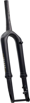Cane Creek Invert SL Gravel Suspension Fork - 700c, 30 mm, 12 x 100 mm, 45 mm Offset, Matte Black Matte Black EA Suspension Fork