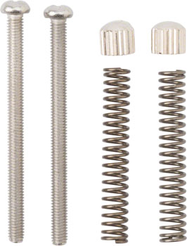Surly Cross Check Frame Replacement Dropout Screws Pair EA Dropout