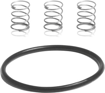 Industry Nine Torch Road Pawl Spring Kit: 3 Springs and 1 1x17mm O-Ring EA Other Hub Part