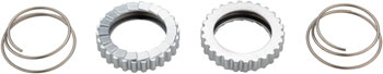 DT Swiss 18t Superlight Star Ratchet Kit: Includes Springs and Grease EA Other Hub Part