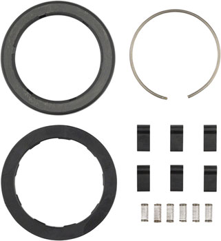 Zipp Spring and Pawl Set - ZR1 SET Other Hub Part