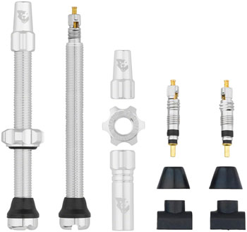 Wolf Tooth Tubeless Valve Stem Kit - 60 mm, Silver EA Tubeless Valves