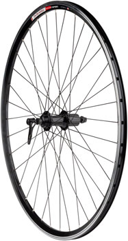 Sta-Tru Double Wall Rear Wheel - 700c, QR, 10 x 130mm, HG 10 MTN, Black, 16.5i Black EA Rear Wheel