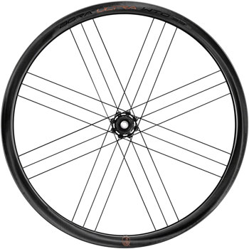Campagnolo Bora Ultra WTO 33 Front Wheel - 700c, 12 x 100mm, Center-Lock, 2-Way Fit, Gray EA Front Wheel