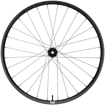 RaceFace Era SL Front Wheel - 29", 15 x 110mm, 6-Bolt, Carbon Black Carbon Black EA Front Wheel