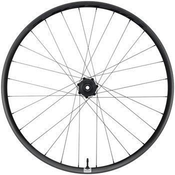 RaceFace Era SL Rear Wheel - 29", 12 x 148mm, 6-Bolt, Micro Spline, Carbon Black Carbon Black EA Rear Wheel