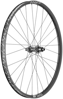 DT Swiss E 1900 Spline 30 Rear Wheel - 29", 12 x 148mm, Center-Lock, Micro Spline, Black EA Rear Wheel