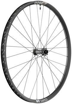 DT Swiss E 1900 Spline 30 Front Wheel - 29", 15 x 110mm, 6-Bolt, Black EA Front Wheel
