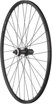 Quality Wheels Value Double Wall Series Rim+Disc Rear Wheel - 700, QR x 135mm, Center-Lock, HG10, Black, Clincher, 32H EA Rear Wheel