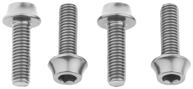 Wolf Tooth Water Bottle Cage Bolts - Set/4, Aluminum, Silver