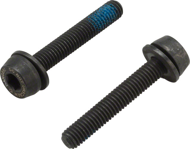 Campagnolo H11 Disc Caliper Mounting Screws, 2x29mm, for 20-24mm Rear Mount Thickness