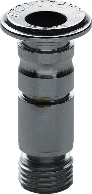 Campagnolo Rear Derailleur Hanger Bolt, with Lip