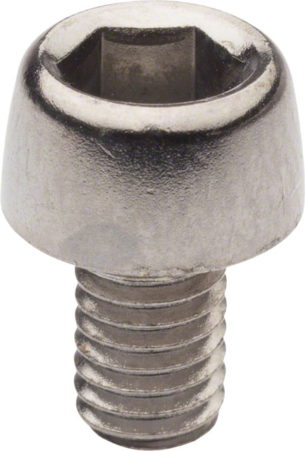 Campagnolo Rear Derailleur Cable Clamping Bolt, Each