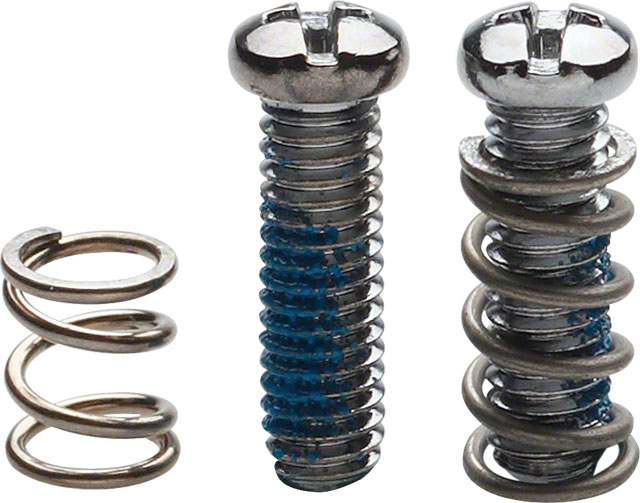 Campagnolo Rear Derailleur Limit Screws/Springs for '98-'08