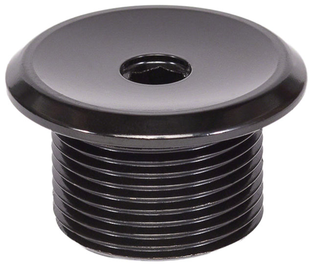 Salt Plus EX Fork Top Bolt - M24 Thread, Steel, Black