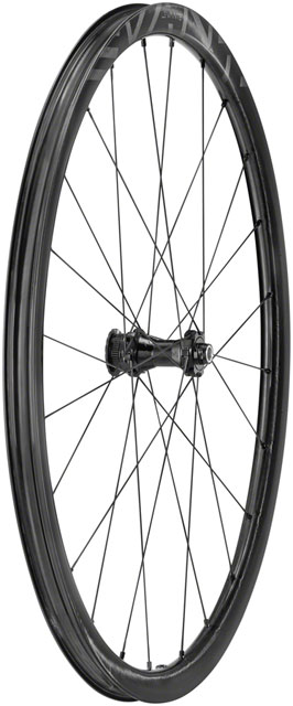 Campagnolo Levante Front Wheel - 700, 12 x 100mm, CenterLock, Black