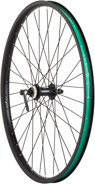 Benno eJoy 2022+ Front Wheel - 26", QR x 100mm, Center-Lock, Black
