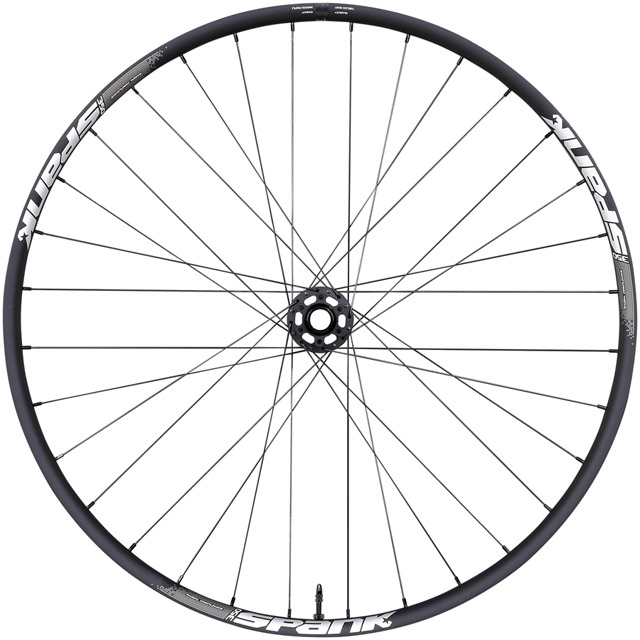 Spank 350 Front Wheel - 29", 15 x 110mm Boost, 6-Bolt, Black