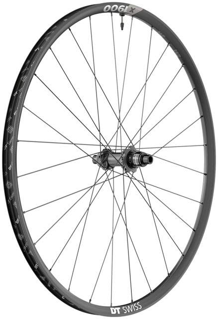 DT Swiss X 1900 Spline 25 Rear Wheel - 29", 12 x 148mm, 6-Bolt/Center-Lock, XD, Black