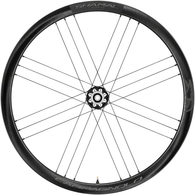 Campagnolo SHAMAL Carbon Disc Front Wheel - 700, 12 x 100mm, Centerlock, Black