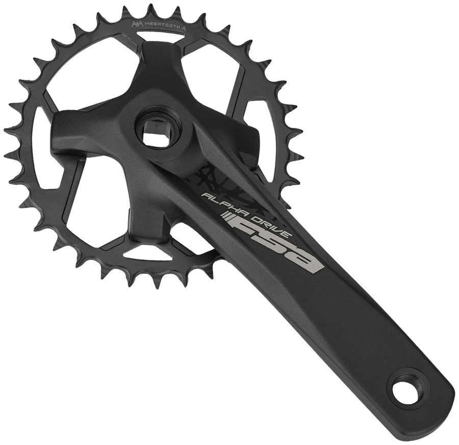 FSA AlphaDrive 1x 30T CSet 175mm N11