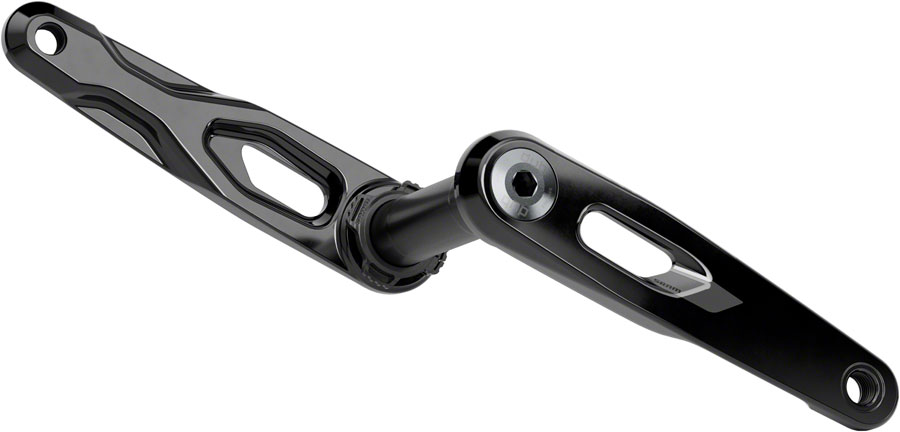 SRAM Rival Crank Arm Assembly - 175mm, 12/13-Speed, 8-Bolt Direct Mount, DUB Spindle, Black, E1