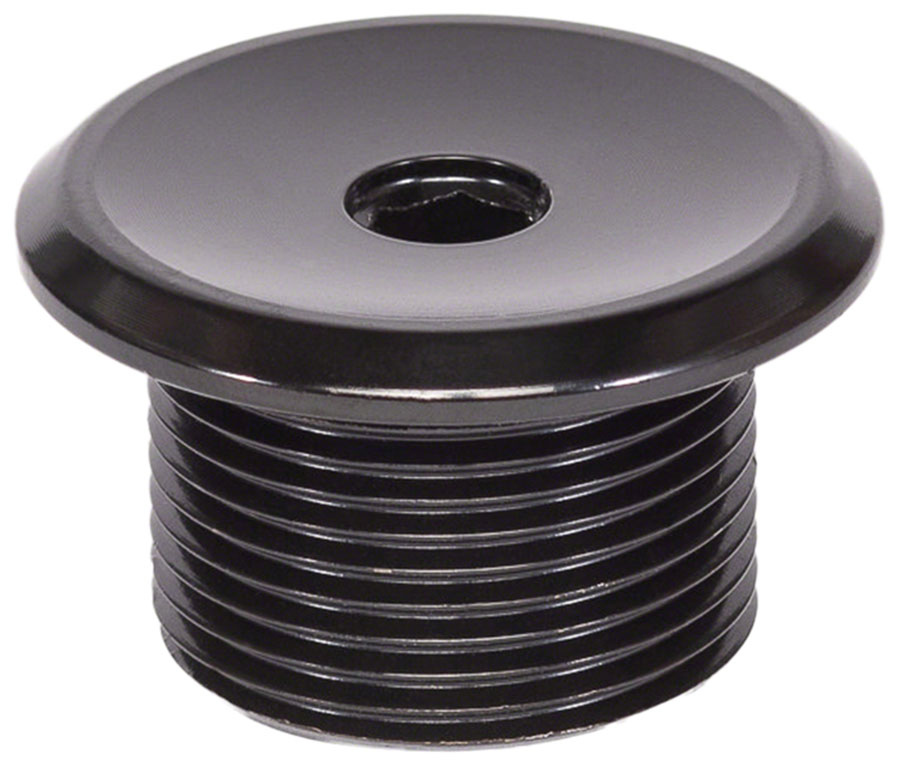 Salt Plus EX Fork Top Bolt - M24 Thread, Steel, Black