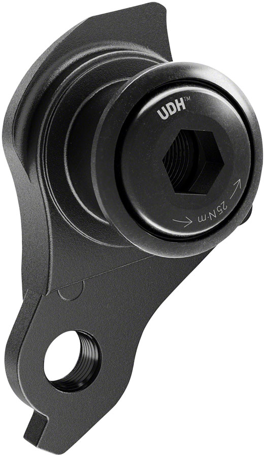 SRAM Universal Derailleur Hanger (UDH) - Aluminum, Black