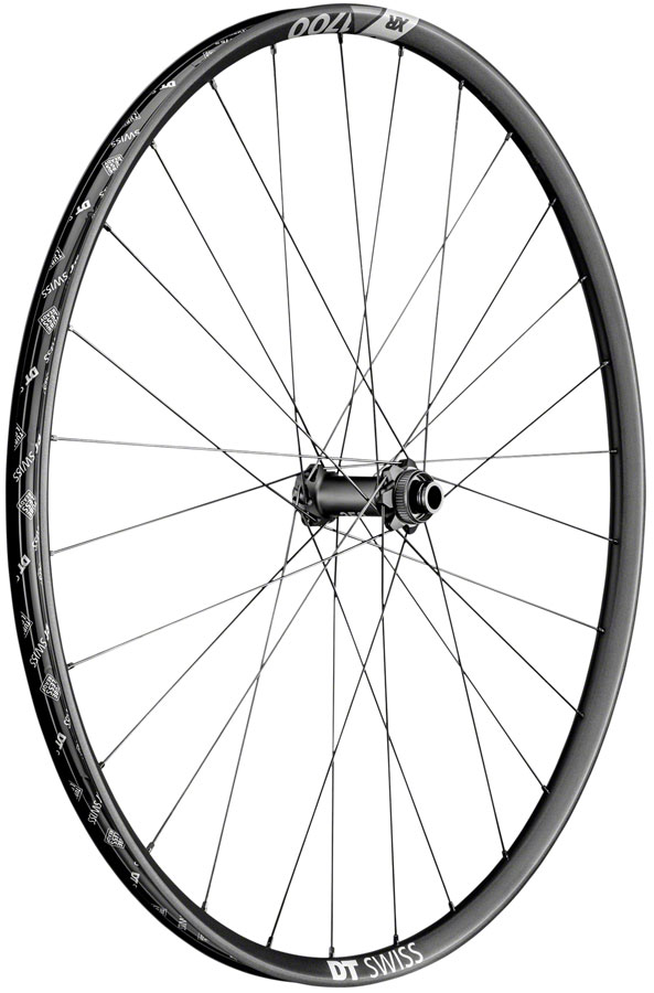 DT Swiss XR 1700 Spline 30 Front Wheel - 29", 15 x 110mm, Center-Lock, Black
