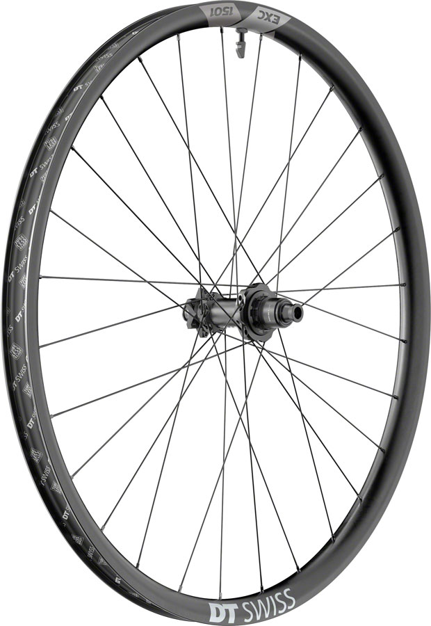DT Swiss EXC 1501 Spine One Rear Wheel - 29", 12 x 148mm, 6-Bolt, XD/Micro Spline, Ratchet DEG 90, Black