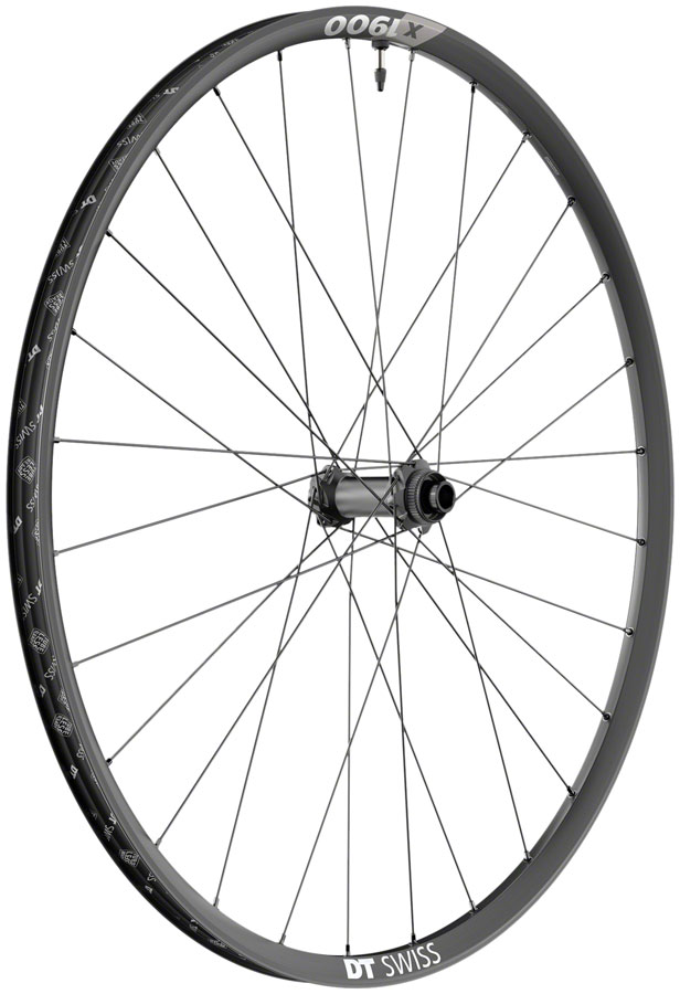 DT Swiss X 1900 Spline 25 Front Wheel - 29", 15 x 100mm, 6-Bolt/Center-Lock, Black