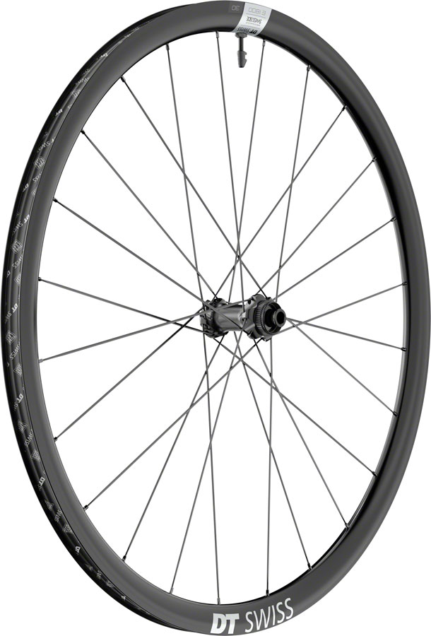 DT Swiss E 1800 Spline 30 Front Wheel - 700, 12 x 100mm, Center-Lock, Black