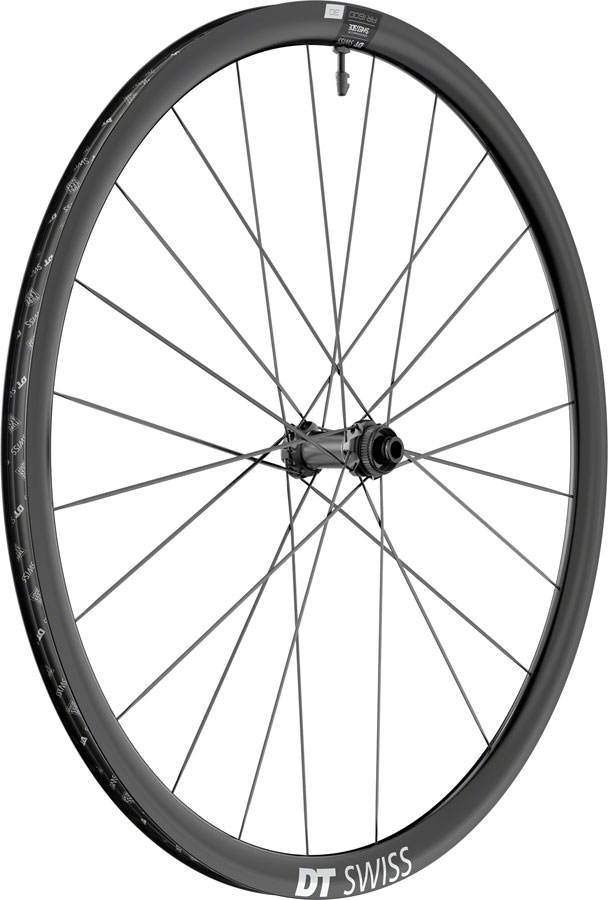 DT Swiss AR 1600 Spline 30 Front Wheel - 700, 12 x 100mm, Center-Lock, Black