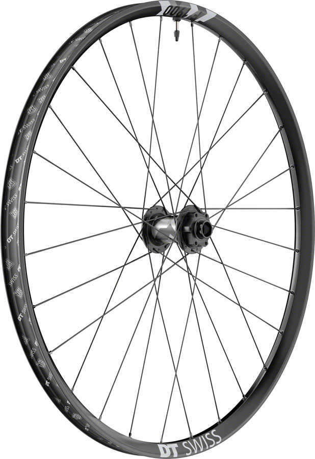 DT Swiss F 1900 Classic Front Wheel - 29", 20 x 110mm DH Boost, 6-Bolt, Black