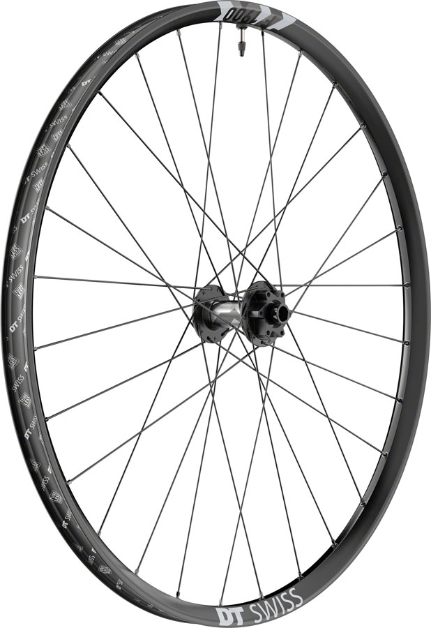 DT Swiss F 1900 Classic Front Wheel - 29", 15 x 110mm, 6-Bolt, Black