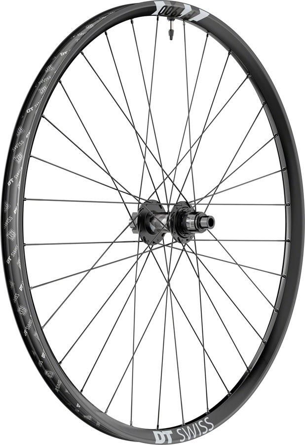 DT Swiss F 1900 Classic Rear Wheel - 29", 12 x 148mm, 6-Bolt, XD, Ratchet LN 18, Black