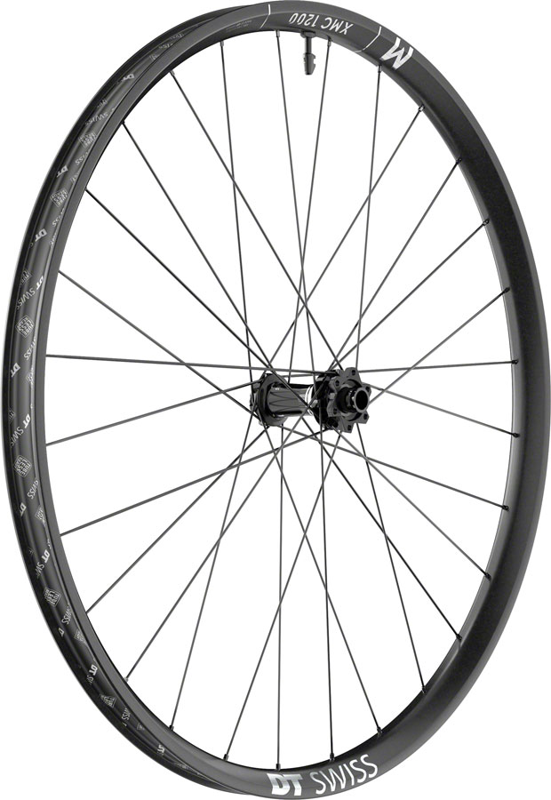 DT Swiss XMC 1200 Spline Front Wheel - 29", 15 x 110mm, 6-Bolt, Black