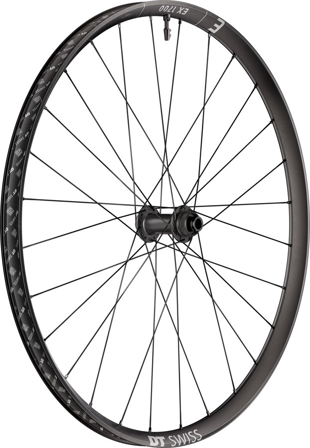 DT Swiss EX 1700 Classic 30 Front Wheel - 29", 15 x 110mm, Center-Lock, Black
