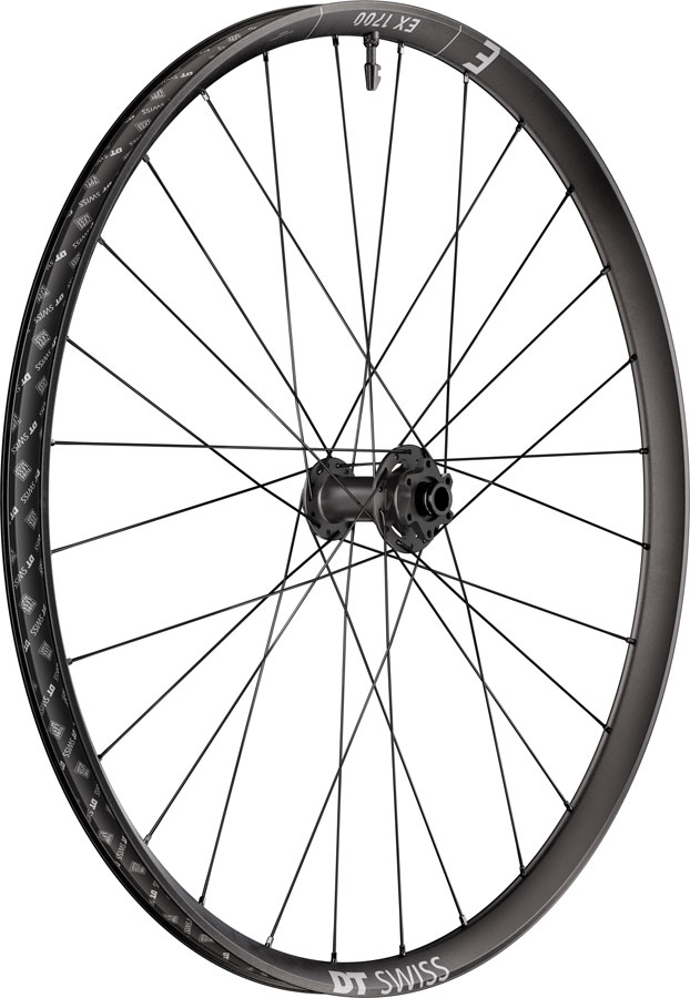 DT Swiss EX 1700 Classic 30 Front Wheel - 29", 15 x 110mm, 6-Bolt, Black