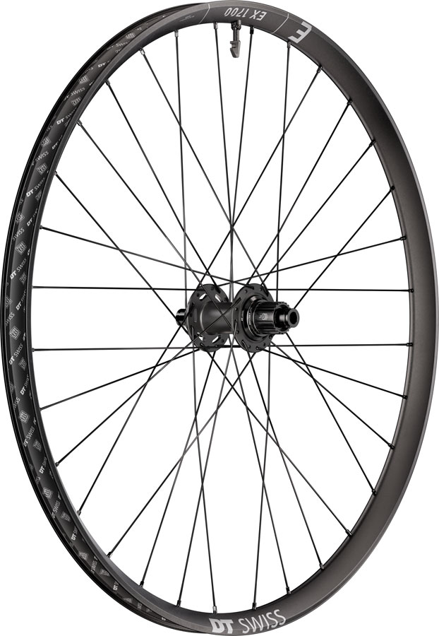 DT Swiss EX 1700 Classic 30 Rear Wheel - 29", 12 x 148mm, Center-Lock, Micro Spline, DEG 72 DF, Black