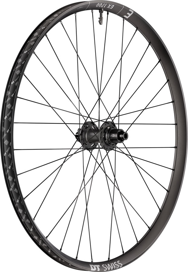 DT Swiss EX 1700 Classic 30 Rear Wheel - 27.5", 12 x 148mm, 6-Bolt, Micro Spline, DEG 72 DF, Black