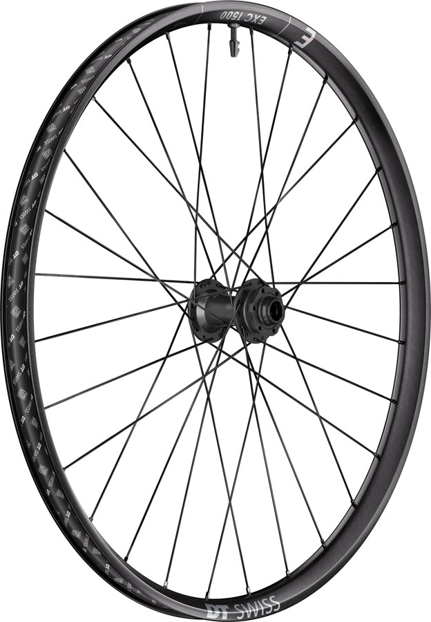 DT Swiss EXC 1500 Classic 30 Front Wheel - 29", 20 x 110mm DH Boost, 6-Bolt, Black