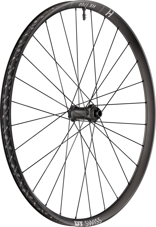 DT Swiss HX 1700 Spline 30 Front Wheel - 29", 15 x 110mm, Center-Lock, Black